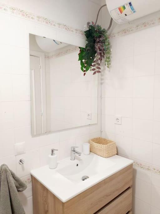 Flat Close To The Centre Malaga